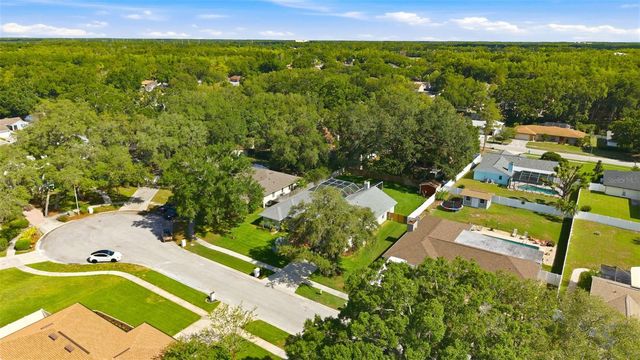 2511 VINY COURT, Tampa, FL 33618