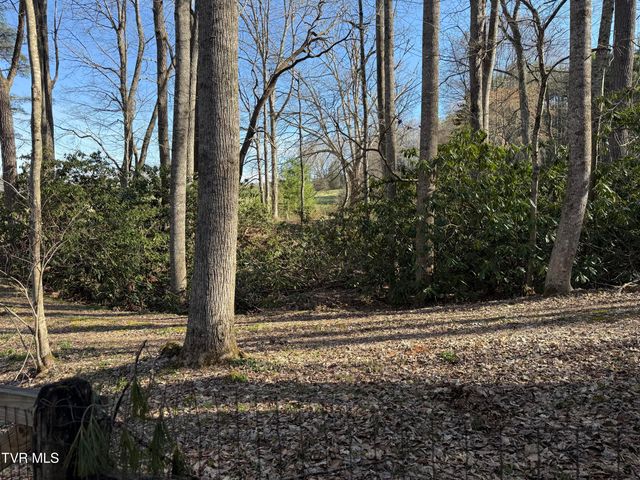 1770 Red Brush Road, Mountain City, TN 37683