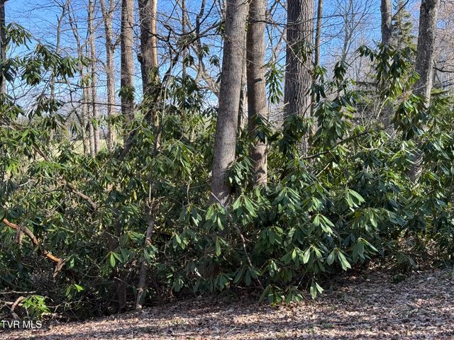 1770 Red Brush Road, Mountain City, TN 37683