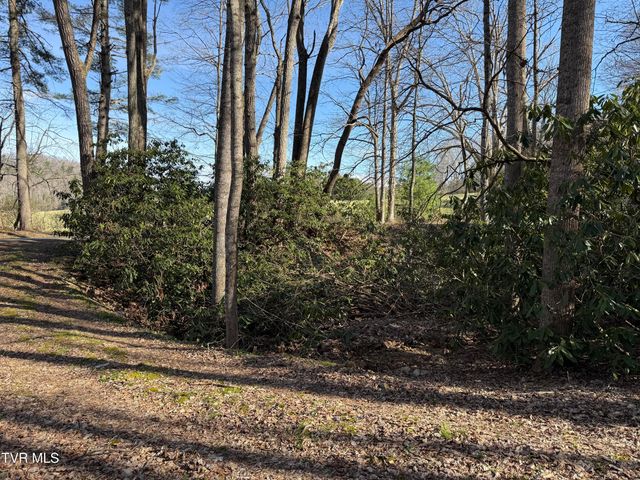 1770 Red Brush Road, Mountain City, TN 37683