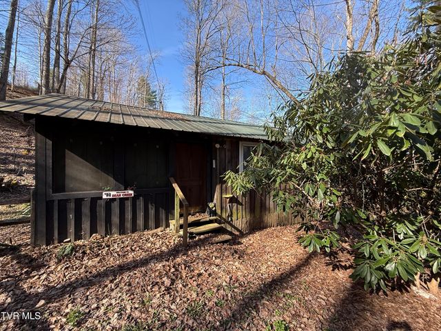 1770 Red Brush Road, Mountain City, TN 37683