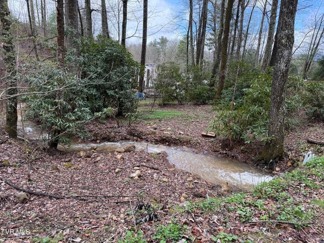 1770 Red Brush Road, Mountain City, TN 37683