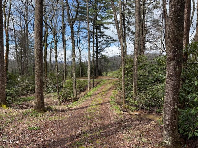 1770 Red Brush Road, Mountain City, TN 37683
