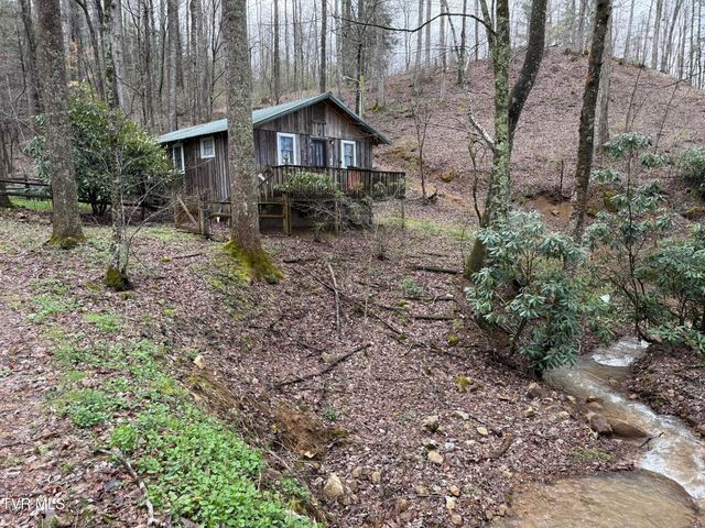 1770 Red Brush Road, Mountain City, TN 37683