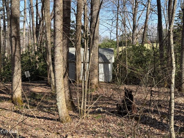 1770 Red Brush Road, Mountain City, TN 37683