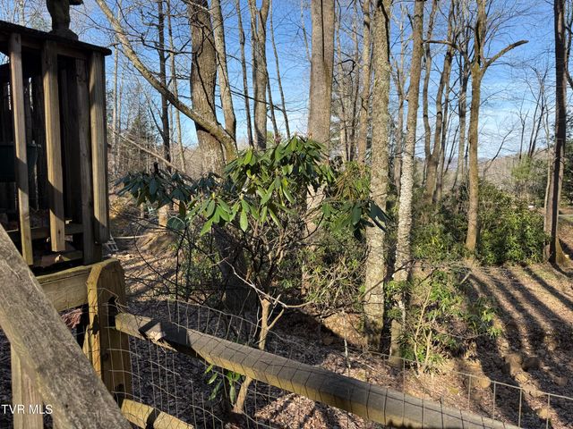 1770 Red Brush Road, Mountain City, TN 37683