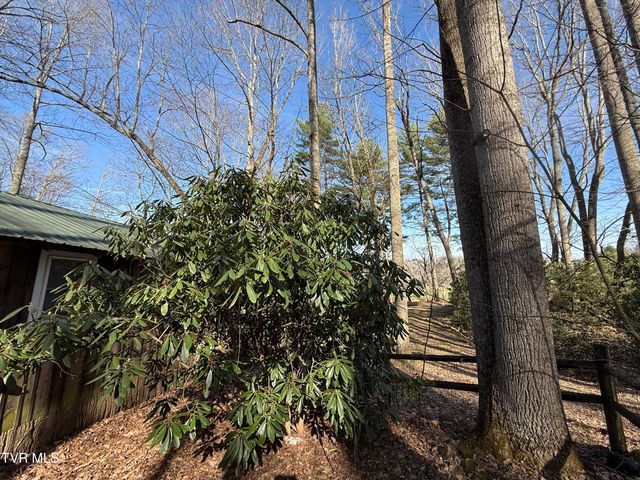 1770 Red Brush Road, Mountain City, TN 37683