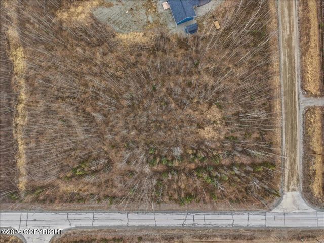 10250 W Backus Drive, Wasilla, AK 99623