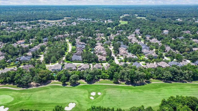 171 Del Monte Pines Drive, Montgomery, TX 77316