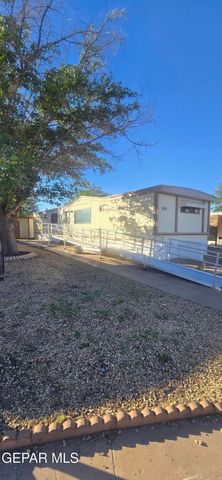 204 ALAN A DALE Lane, El Paso, TX 79924