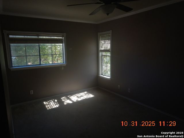 2932 Candleberry Dr, Schertz, TX 78154