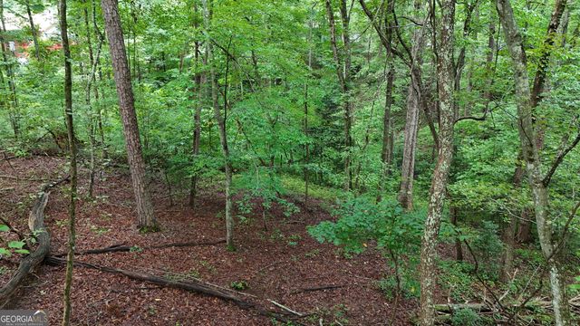 1 ACRE Canyon Point, Demorest, GA 30535