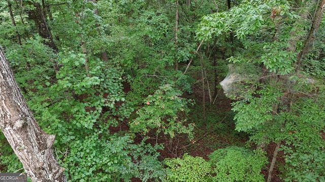 1 ACRE Canyon Point, Demorest, GA 30535