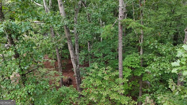1 ACRE Canyon Point, Demorest, GA 30535