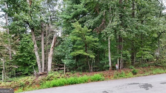 1 ACRE Canyon Point, Demorest, GA 30535