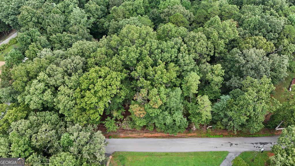 1 ACRE Canyon Point, Demorest, GA 30535