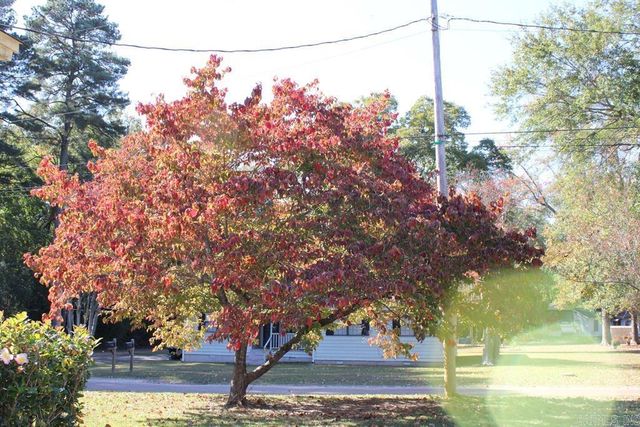 1201 E 42nd St., Texarkana, AR 71854