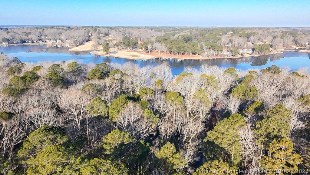 2028 Long Point Trail, Sanford, NC 27332 — photo 11