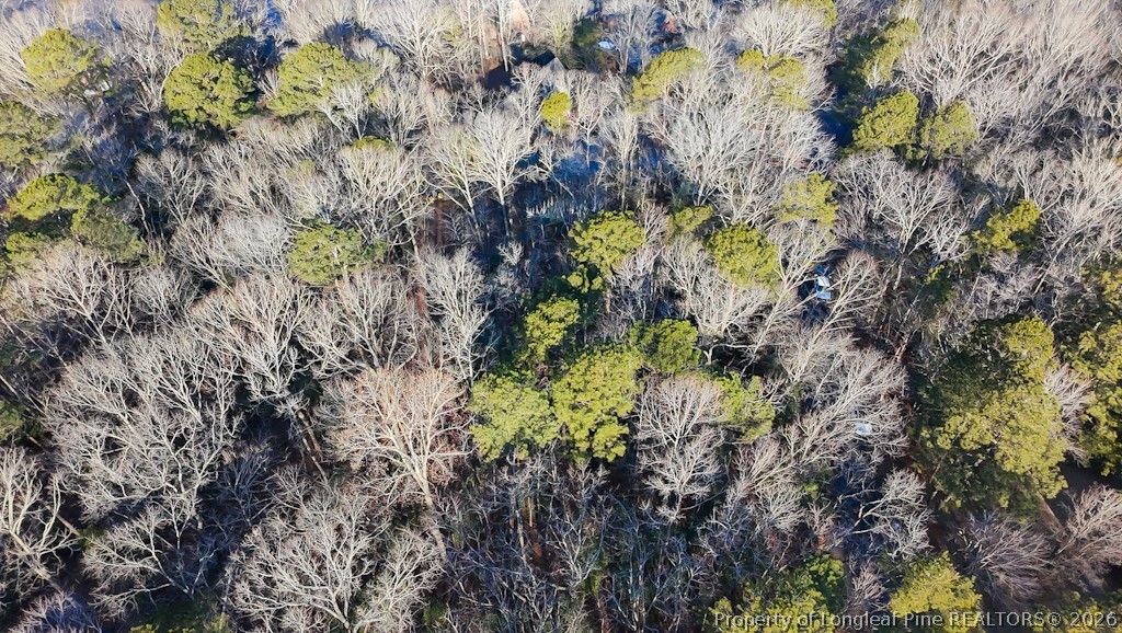 2028 Long Point Trail, Sanford, NC 27332 — photo 13