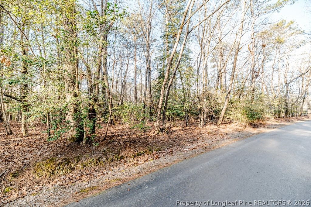 2028 Long Point Trail, Sanford, NC 27332 — photo 3