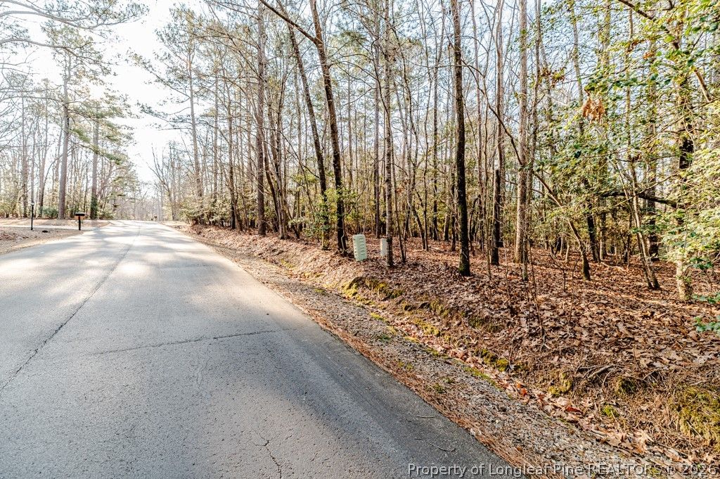 2028 Long Point Trail, Sanford, NC 27332 — photo 4