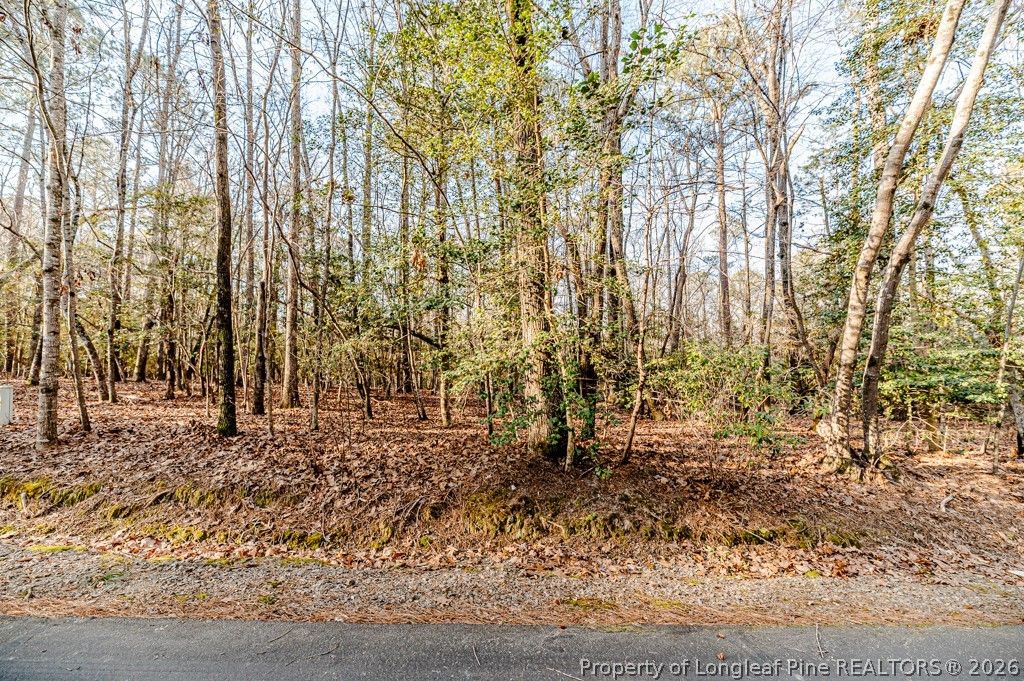 2028 Long Point Trail, Sanford, NC 27332 — photo 5