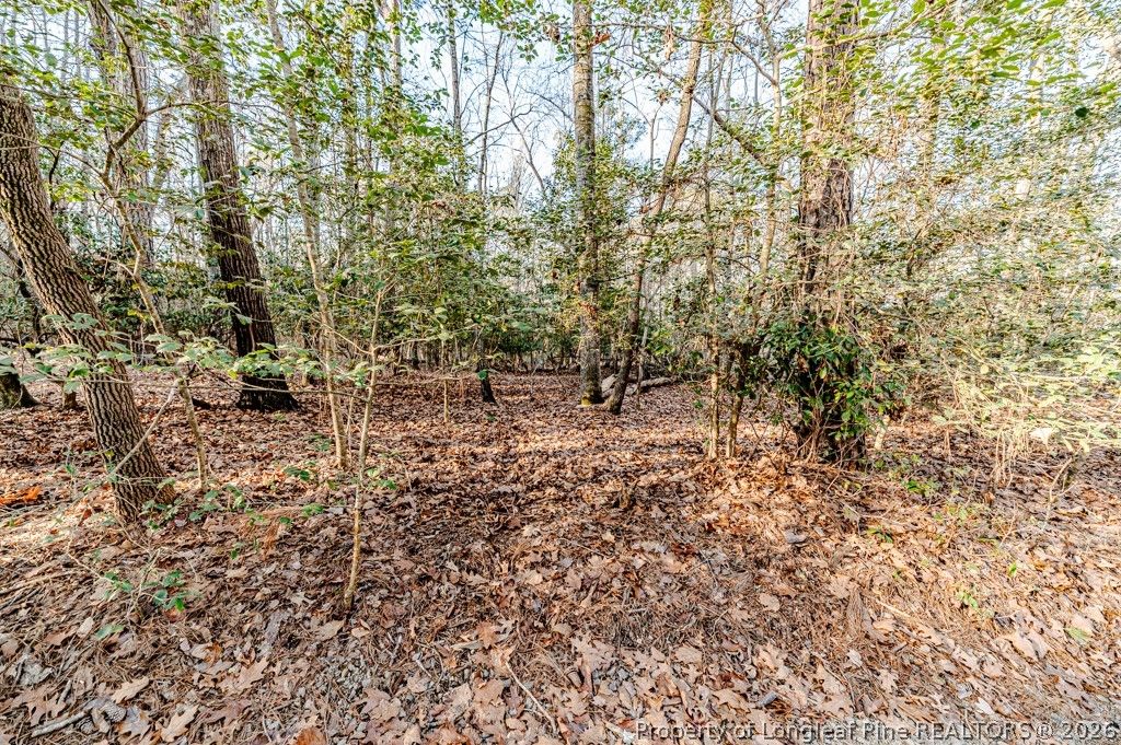 2028 Long Point Trail, Sanford, NC 27332 — photo 6