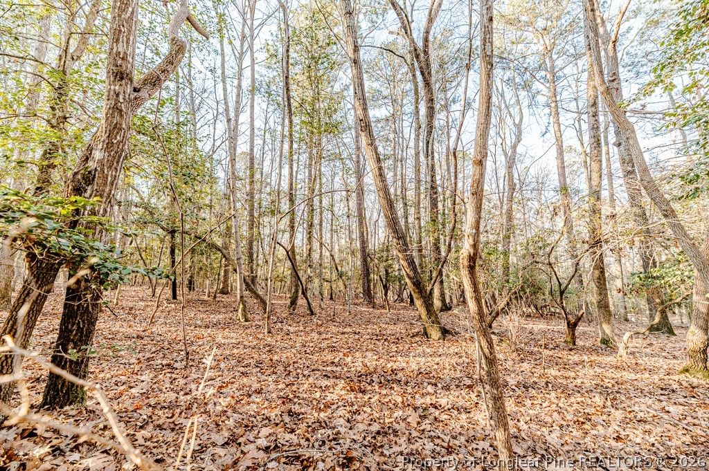 2028 Long Point Trail, Sanford, NC 27332 — photo 7