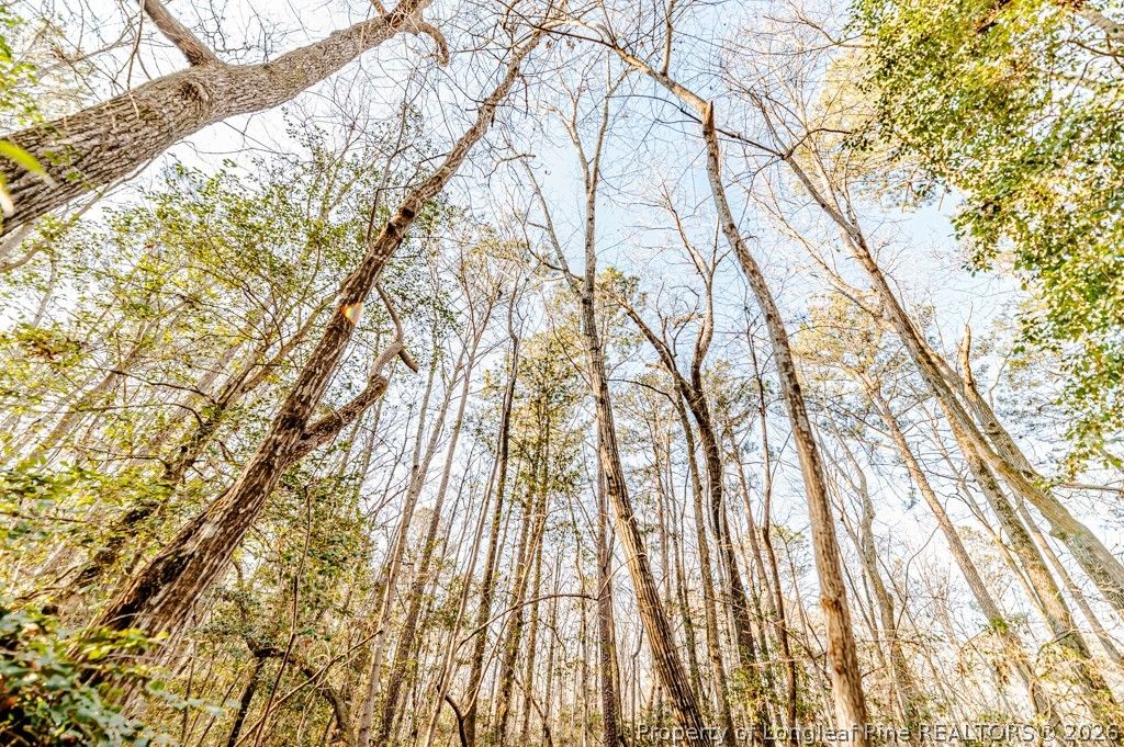 2028 Long Point Trail, Sanford, NC 27332 — photo 8