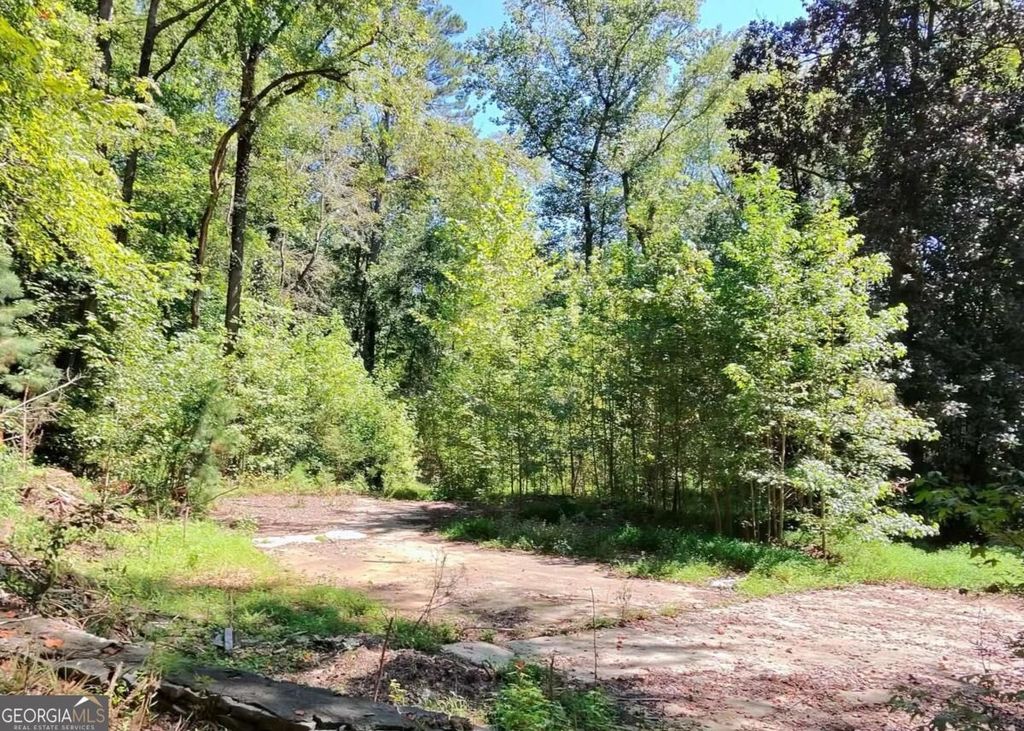 4824 Flakes Mill Road, Ellenwood, GA 30294 — photo 2