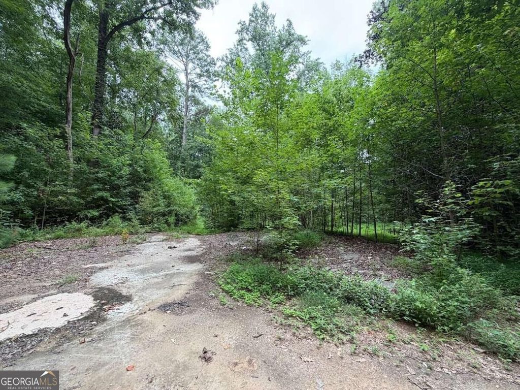 4824 Flakes Mill Road, Ellenwood, GA 30294 — photo 5
