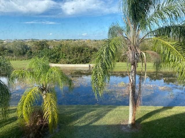 10918 WINTER CREST DRIVE, Riverview, FL 33569