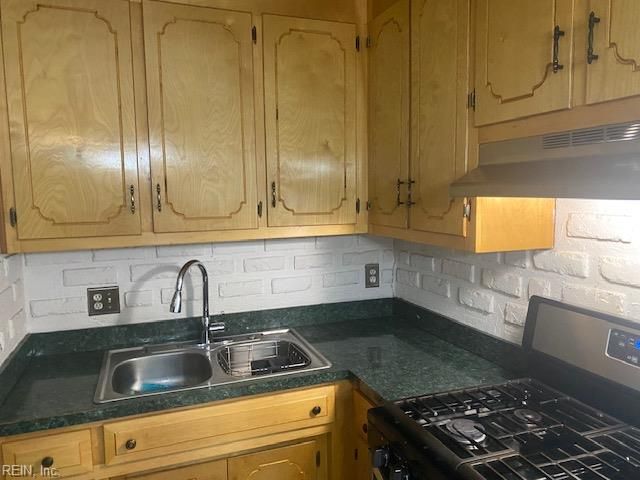 17036 N Carolina AVE, Windsor, VA 23487