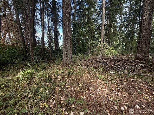 19421 24th Street SW, Lakebay, WA 98349