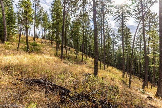 0 N Vista Cir, Colbert, WA 99005