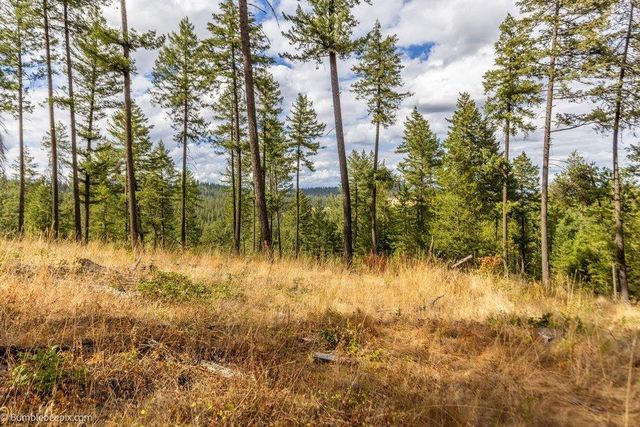 0 N Vista Cir, Colbert, WA 99005
