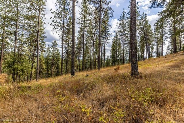 0 N Vista Cir, Colbert, WA 99005
