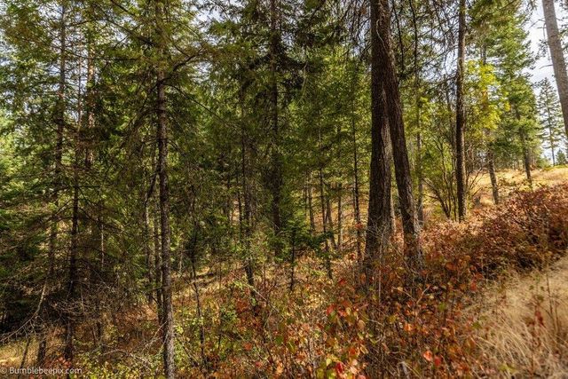 0 N Vista Cir, Colbert, WA 99005