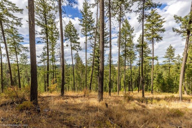 0 N Vista Cir, Colbert, WA 99005