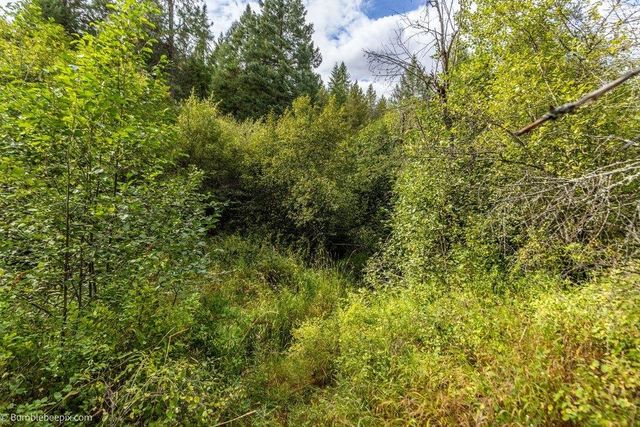 0 N Vista Cir, Colbert, WA 99005