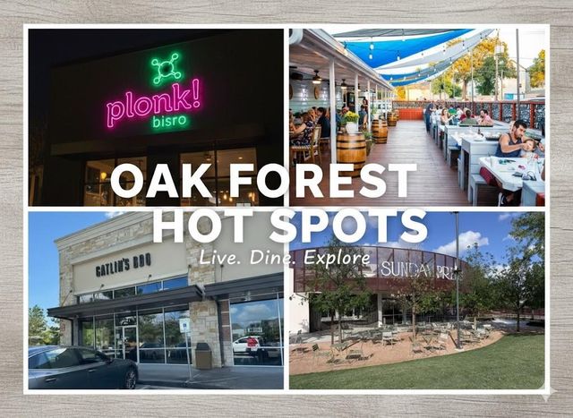 4422 De Milo Drive, Houston, TX 77092