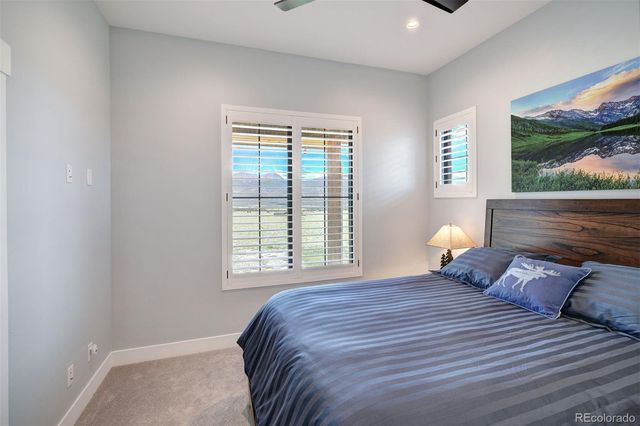 31307 Great Peaks Drive, Buena Vista, CO 81211