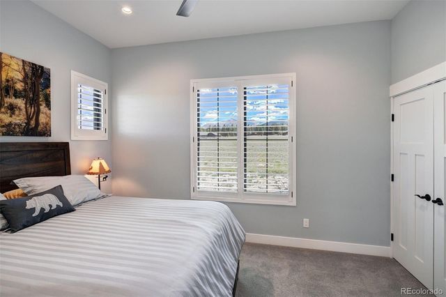 31307 Great Peaks Drive, Buena Vista, CO 81211
