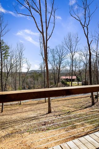 456 Sowers Road, Blue Ridge, GA 30513