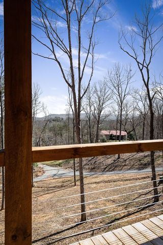 456 Sowers Road, Blue Ridge, GA 30513