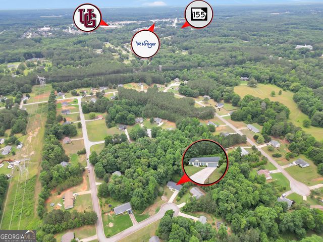 1203 Dried Creek Court, Mcdonough, GA 30252