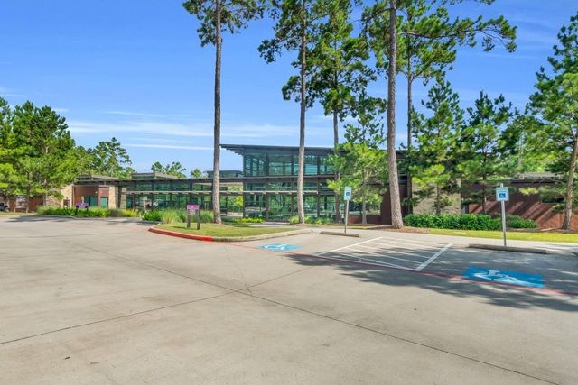 222 Elianne Lace Ct Court, Willis, TX 77318