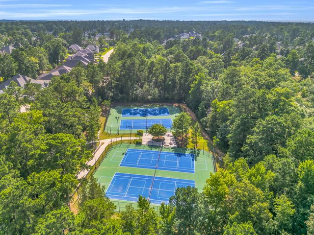 222 Elianne Lace Ct Court, Willis, TX 77318
