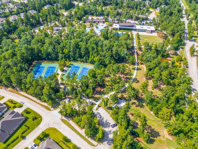 222 Elianne Lace Ct Court, Willis, TX 77318