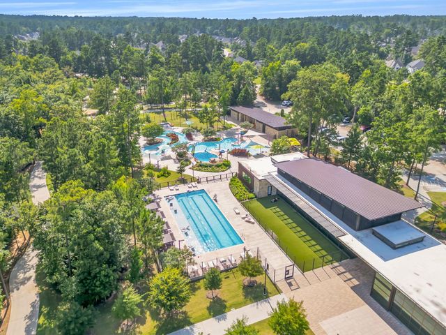 222 Elianne Lace Ct Court, Willis, TX 77318